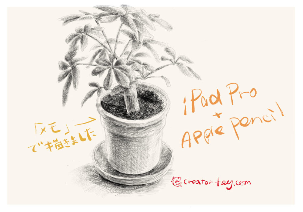 iPad Pro / Apple Pencil メモで鉛筆デッサン