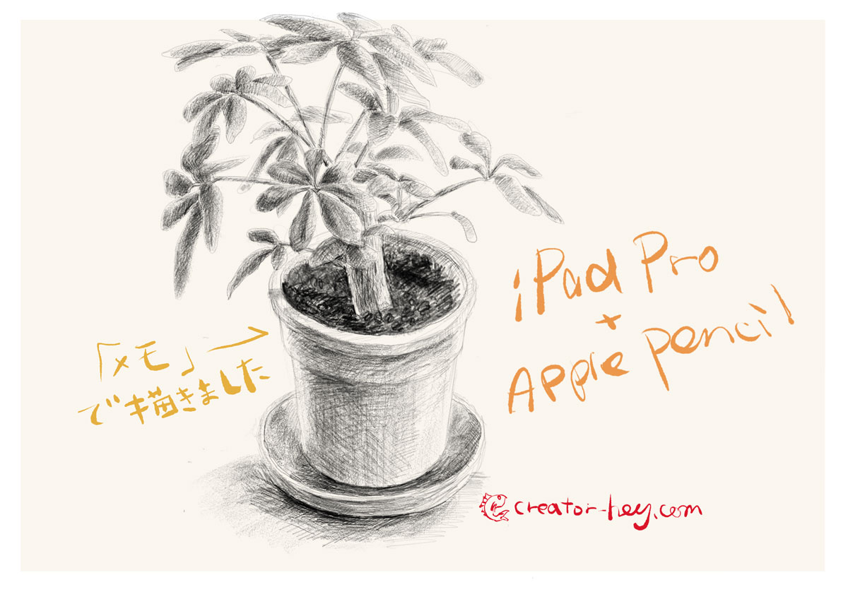 Ipad Proには保護フィルムは不必要やと思うわ 外したら書き 描き 心地向上した クリエイター丙